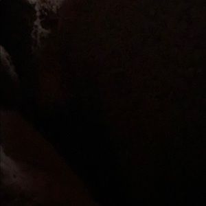 Meet your Posher, Daisy